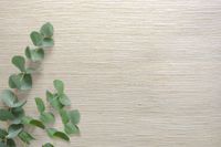 Обои Carl Robinson Edition 20 арт-CL50034 — фото 2, Обои