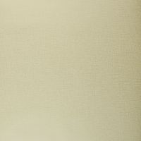 Обои Clarke & Clarke Showstoppers арт-W0006-25 — фото 1, Обои