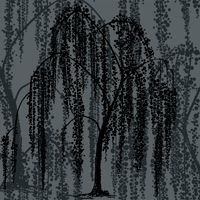 Товар: Обои York Candice Olson After Eight арт-DT5062 - фото 1 Обои York Candice Olson After Eight арт-DT5062 — фото 1, Обои