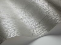 Обои Cole & Son Curio арт-107-6030 — фото 2, Обои