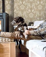 Обои Carl Robinson Edition 21 The Gentleman арт-CL70002 — фото 2, Обои