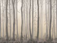 Фрески Affresco Exclusive part 1 арт-AB308-COL4 — фото 1, Фрески