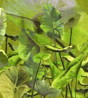 Обои Elitis Anguille Big Croco Legends арт-VP42901 — фото 1, Обои