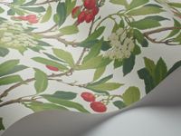 Обои Cole & Son Archive Anthology арт-100-10049 — фото 2, Обои