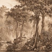 Обои Rasch Curiosity арт-543766 — фото 1, Обои