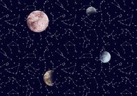 Обои Coordonne Instant арт-8500161 — фото 1, Обои