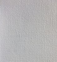 Обои AS Creation Antivandal Винил на флизелине (1,06*25) Белый, Штукатурка арт-5749-16 — фото 1, Обои