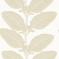 Обои Thibaut Vista арт-T12041 — фото 1, Обои