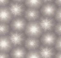 Товар: Обои Loymina Timeless арт-TS1-011 - фото 1 Обои Loymina Timeless арт-TS1-011 — фото 1, Обои