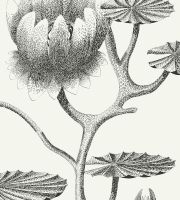 Обои Cole & Son Contemporary Restyled арт-95-4020 — фото 1, Обои