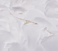 Фрески Applico Two арт-0020-Br1 — фото 1, Фрески