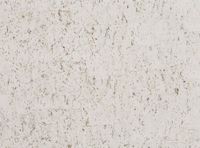 Товар: Обои Zinc Scope арт-ZW129-02 - фото 1 Обои Zinc Scope арт-ZW129-02 — фото 1, Обои