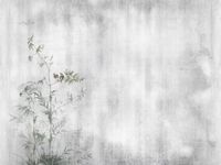 Фрески Affresco Trend Art арт-DP410-COL4 — фото 1, Фрески