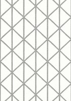 Обои Thibaut Tropics арт-T10134 — фото 1, Обои