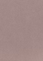 Обои Calcutta Zaara арт-408007 — фото 1, Обои