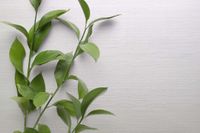 Обои Carl Robinson Edition 20 арт-CL50066 — фото 2, Обои