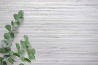 Обои Carl Robinson Edition 20 арт-CL50020 — фото 2, Обои