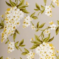 Обои Clarke & Clarke Showstoppers арт-W0022-04 — фото 1, Обои