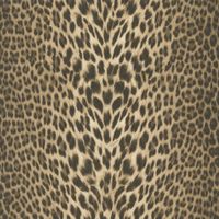 Обои Roberto Cavalli Home 7 арт-RC18029 — фото 1, Обои