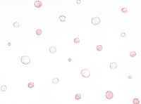 Обои KT-Exclusive Tales for Kids арт-3400020 — фото 1, Обои