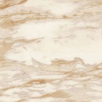 Обои Roberto Cavalli Home 9 арт-RC21024 — фото 1, Обои