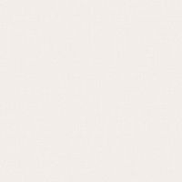 Обои Andrea Rossi Spectrum Pro Винил на флизелине (1,06*10) Белый/Бежевый, Однотонные/Рогожка арт-54379-2 — фото 1, Обои для стен