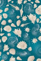 Обои Loymina Illusion vol. II арт-DM046 — фото 1, Обои