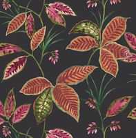 Товар: Обои KT-Exclusive Maui Maui арт-TP80800 - фото 1 Обои KT-Exclusive Maui Maui арт-TP80800 — фото 1, Обои