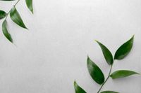 Товар: Обои Carl Robinson Edition 20 арт-CL50031 - фото 2 Обои Carl Robinson Edition 20 арт-CL50031 — фото 2, Обои