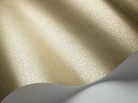 Обои Cole & Son Curio арт-107-9041 — фото 2, Обои