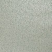 Обои Clarke & Clarke Botanica арт-W0093-05 — фото 1, Обои