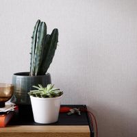 Обои Marburg New Spirit арт-31811 — фото 2, Обои для стен