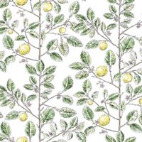 Обои York Toiles Resource Library арт-RT7911 — фото 1, Обои