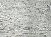 Обои Paper & Ink Navy Grey and White арт-BL72710 — фото 1, Обои