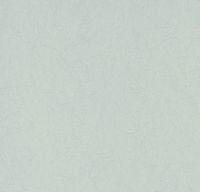 Обои Bernardo Bartalucci Legend Флизелин (1,06*10) Зеленый, Однотонные арт-5068-52 — фото 1, Обои