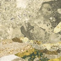 Обои Nobilis Grand Angle арт-GRD81 — фото 1, Обои