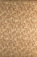 Обои Calcutta Botanic арт-113028 — фото 1, Обои