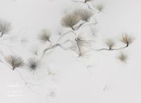 Фрески Applico Four арт-0060-S1 — фото 2, Фрески