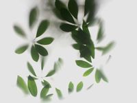 Фрески Wall Street GreenDay арт-23300 — фото 1, Фрески