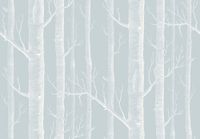 Товар: Обои Cole & Son Whimsical арт-103-5022 - фото 1 Обои Cole & Son Whimsical арт-103-5022 — фото 1, Обои