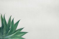 Обои Carl Robinson Edition 20 арт-CL50033 — фото 2, Обои