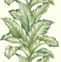 Обои KT-Exclusive Maui Maui арт-TP81204 — фото 1, Обои