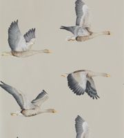 Обои Sanderson Elysian арт-216611 — фото 1, Обои