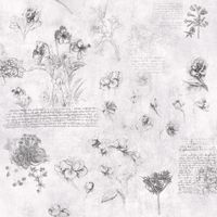 Обои Jannelli&Volpi Leonardo арт-23004 — фото 1, Обои