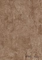 Обои Carlucci di Chivasso Curious арт-CA9091-071 — фото 1, Обои