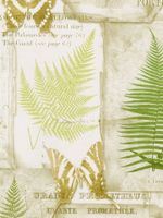 Обои Aura Kitchen Story III арт-FK34415 — фото 1, Обои