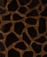 Обои Portofino Portofino Wild арт-PW115004 — фото 1, Обои