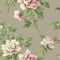 Товар: Обои York Casabella II арт-BA4612 - фото 1 Обои York Casabella II арт-BA4612 — фото 1, Обои