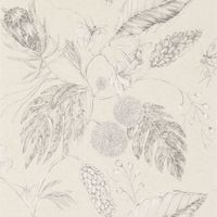 Обои Harlequin Palmetto арт-111220 — фото 1, Обои