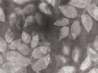 Фрески Affresco New Art арт-RE159-COL1 — фото 1, Фрески